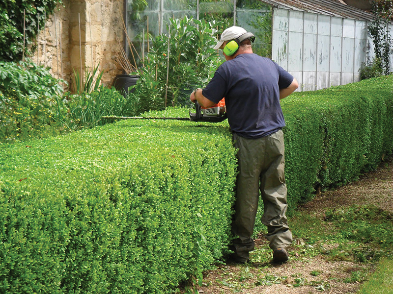 Landscaping, Tree, Hedge & Shrub Services | J.S.A Landscapes